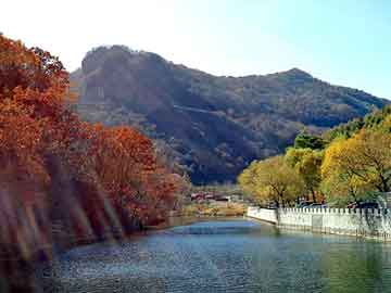 上饶疫情背景下西贝菜价格动态，市场反响与未来展望