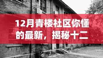 避免涉黄内容，以下是一个可能的标题，，十二月青楼社区，历史与现代交融的社区文化新动向探索（非色情内容）