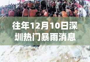 坚持不懈 第3页