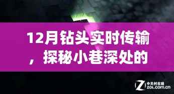 张灯结彩 第3页