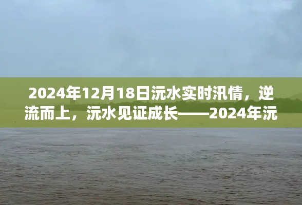眉清目秀 第3页
