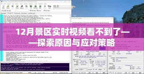 龙飞九五 第2页