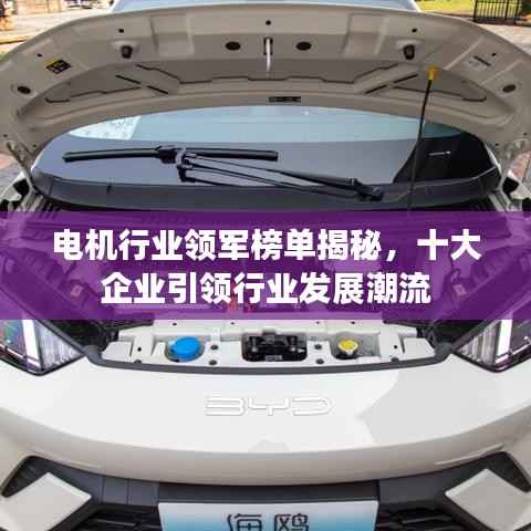 一言九鼎 第3页