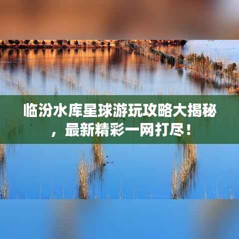 飞鸟惊蛇 第2页