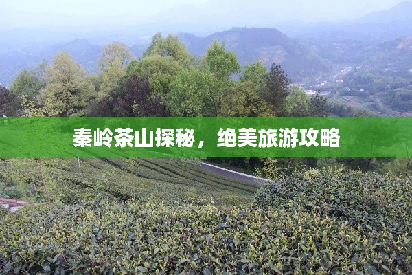 劳燕分飞 第2页