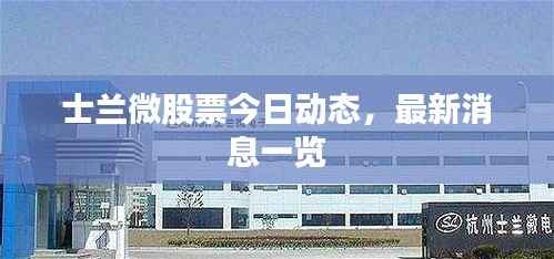 各就各位 第2页