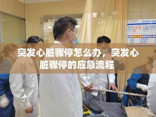 丰容盛鬋 第2页