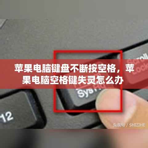 巧舌如簧 第2页