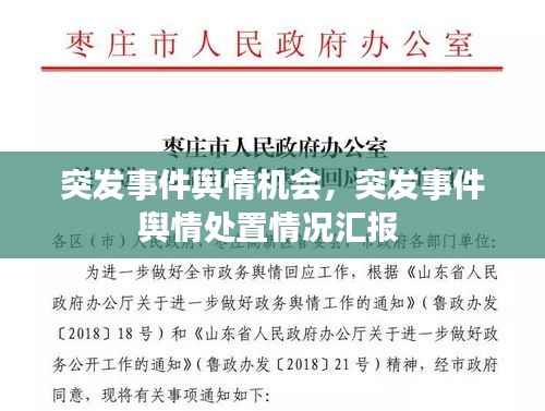 突发事件舆情机会，突发事件舆情处置情况汇报 