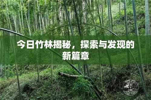 权贵显要 第2页