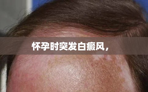 逸兴遄飞 第2页