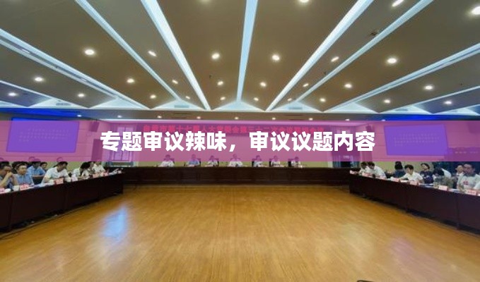 专题审议辣味，审议议题内容 