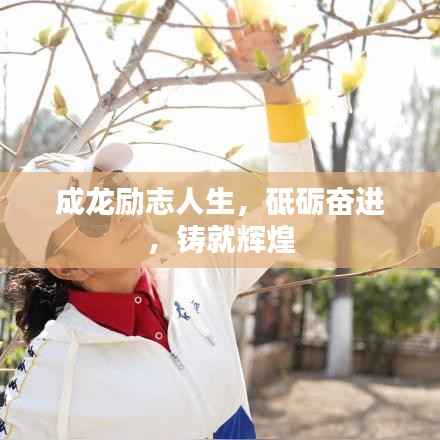 成龙励志人生，砥砺奋进，铸就辉煌