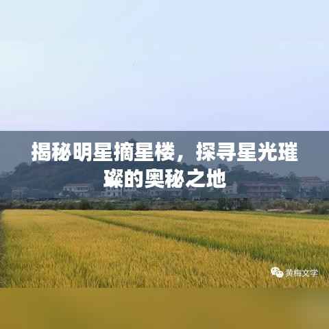 揭秘明星摘星楼，探寻星光璀璨的奥秘之地